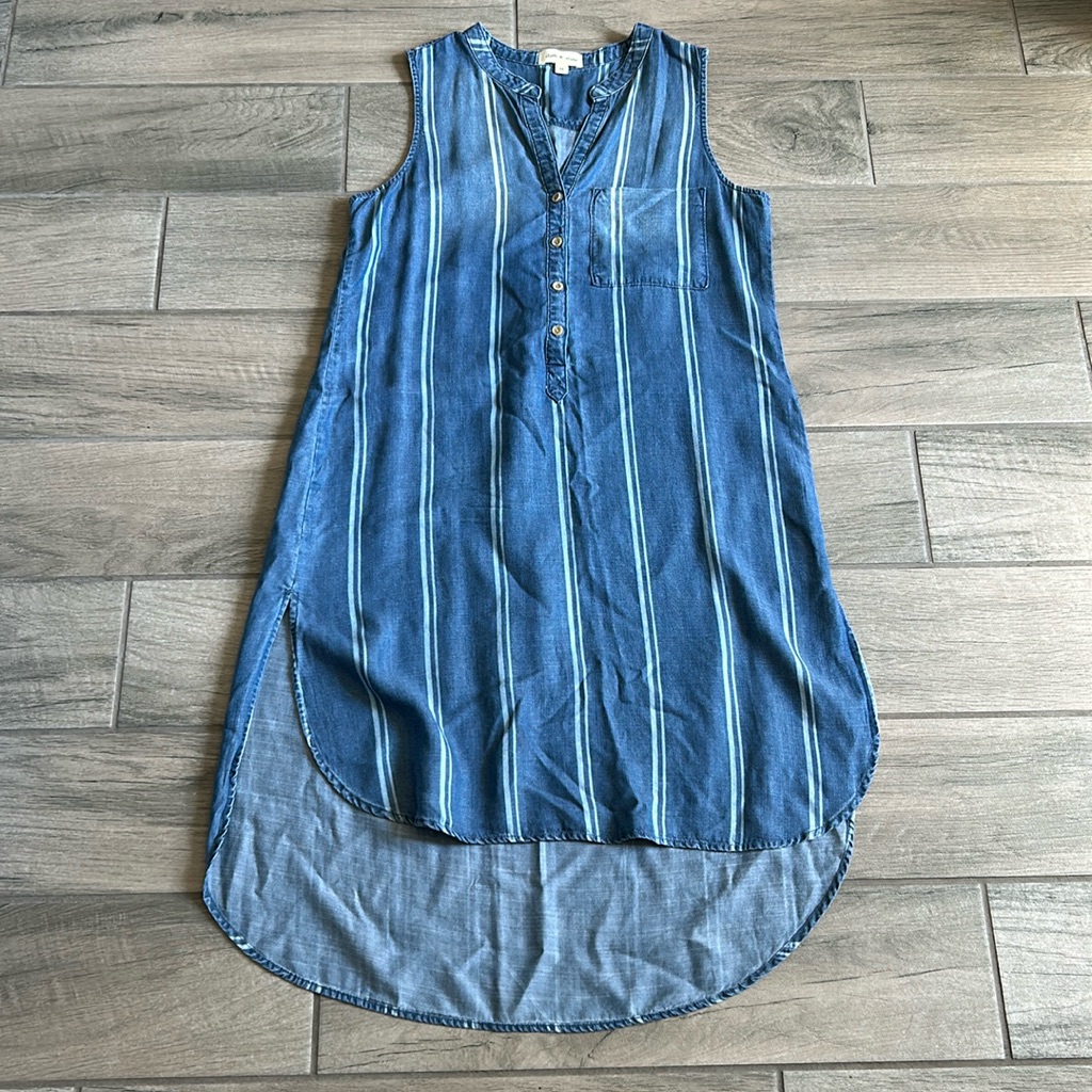 Cloth  Stone Denim Dress
